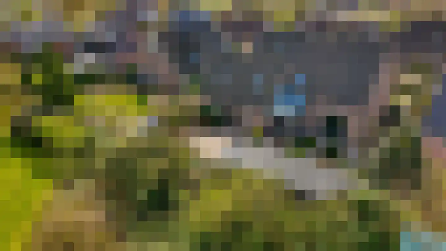 De Horst 3 Zevenaar thumbnail 76