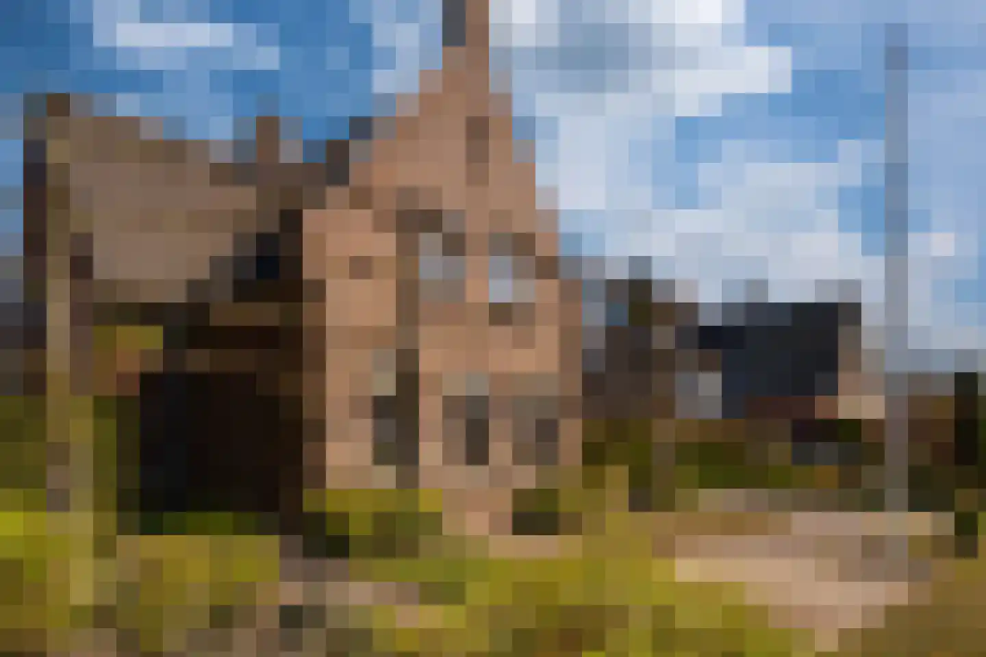De Horst 3 Zevenaar thumbnail 9