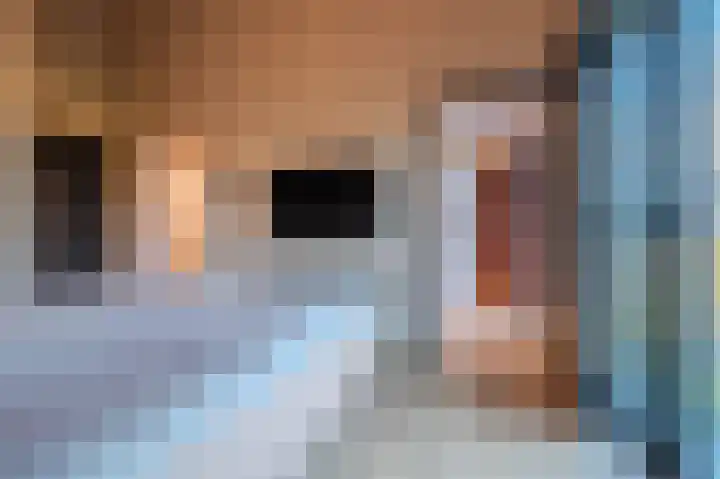 De Horst 4 Someren thumbnail 26