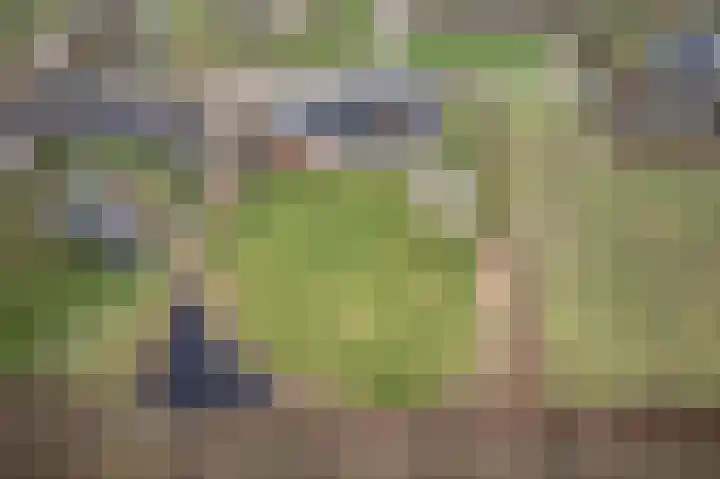 De Horst 4 Someren thumbnail 52