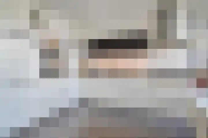 De Horsten 32 Bleiswijk thumbnail 15