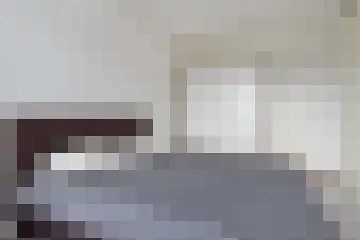 De Horsten 32 Bleiswijk thumbnail 23