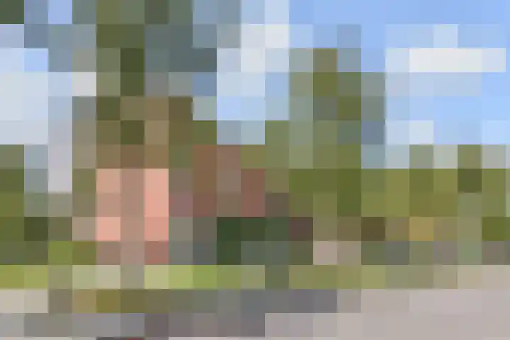 De Horsten 32 Bleiswijk thumbnail 29