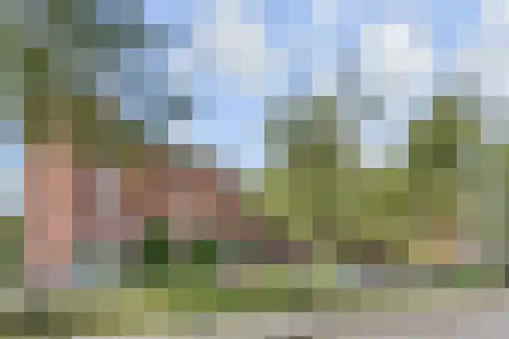 De Horsten 32 Bleiswijk thumbnail 30