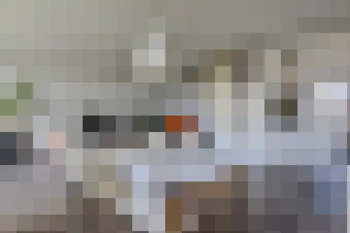 De Horsten 32 Bleiswijk thumbnail 4