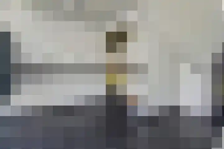 De Horsten 32 Bleiswijk thumbnail 8