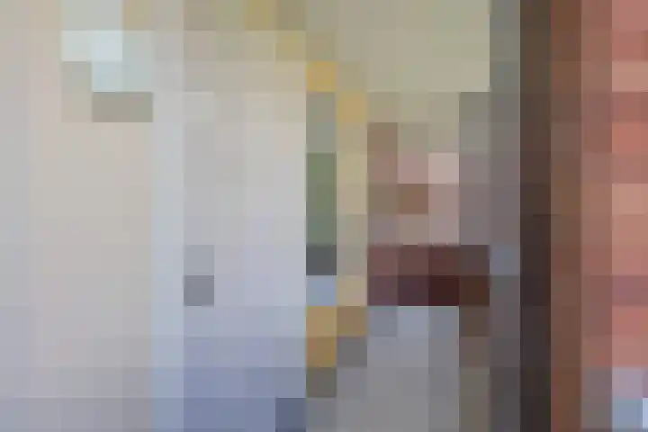 De Horsten 32 Bleiswijk thumbnail 9