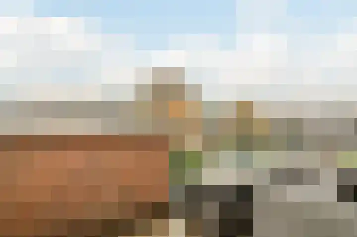 De Horsten 52 Bleiswijk thumbnail 24