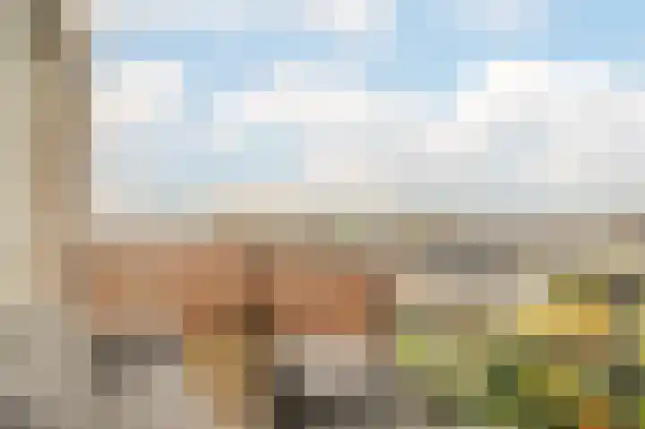 De Horsten 52 Bleiswijk thumbnail 26