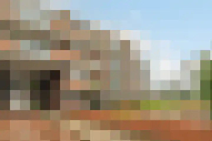 De Horsten 52 Bleiswijk thumbnail 27