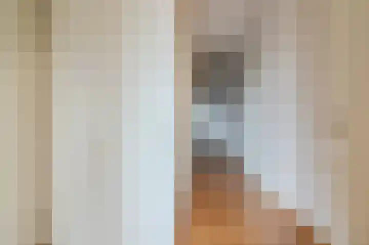 De Horsten 52 Bleiswijk thumbnail 8
