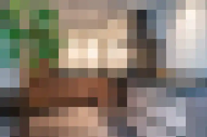 De Horsten 9 Ruinerwold thumbnail 12