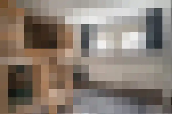 De Horsten 9 Ruinerwold thumbnail 21