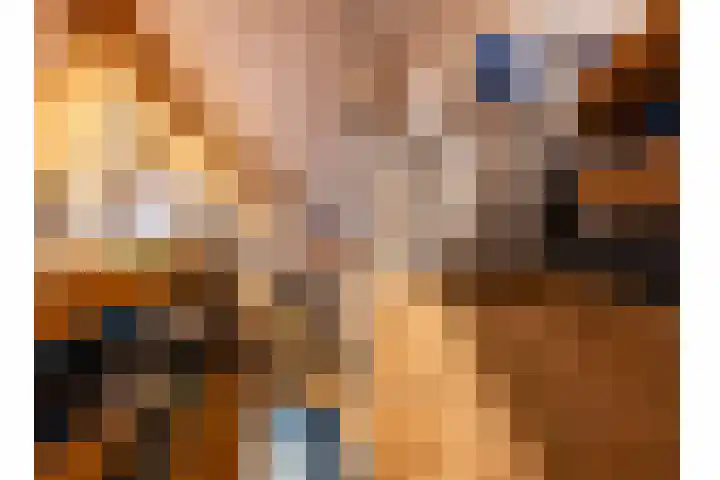 De Horsten 9 Ruinerwold thumbnail 30