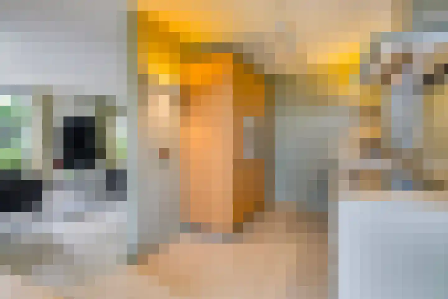 De Horzak 57 Oss thumbnail 11