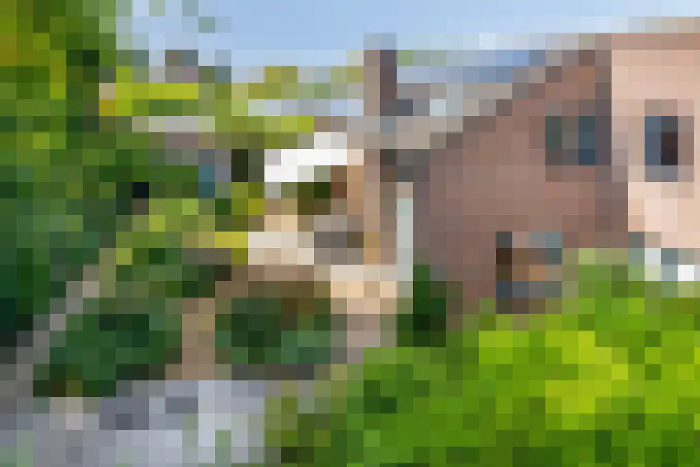 De Horzak 57 Oss thumbnail 16