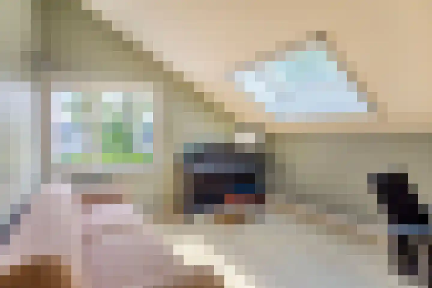 De Horzak 57 Oss thumbnail 20