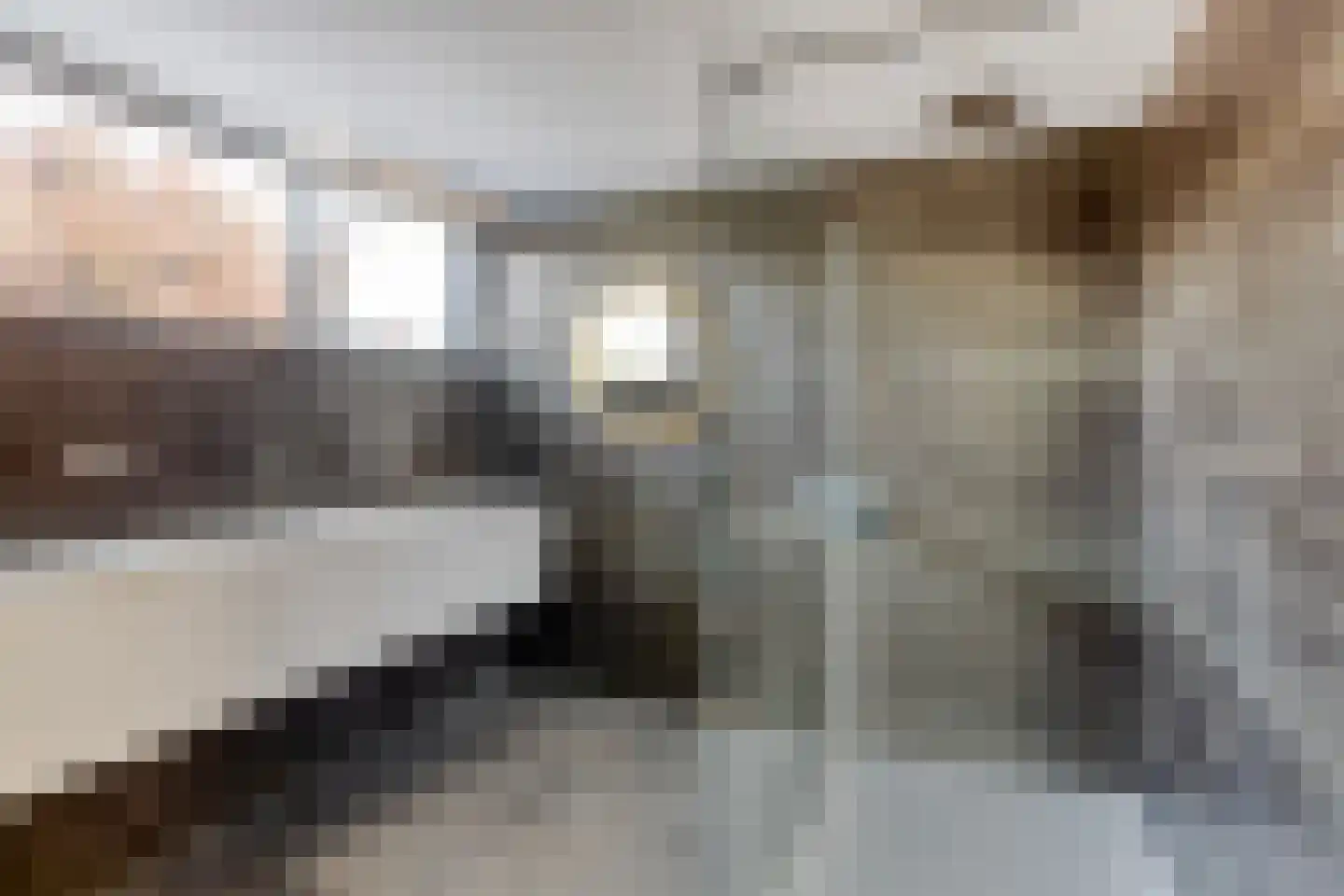 De Horzak 57 Oss thumbnail 23