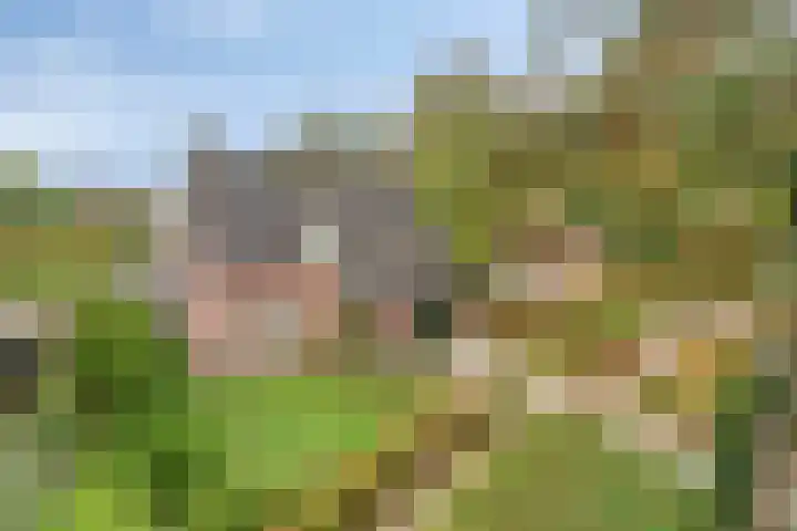 De Houtert 3 Lage Mierde