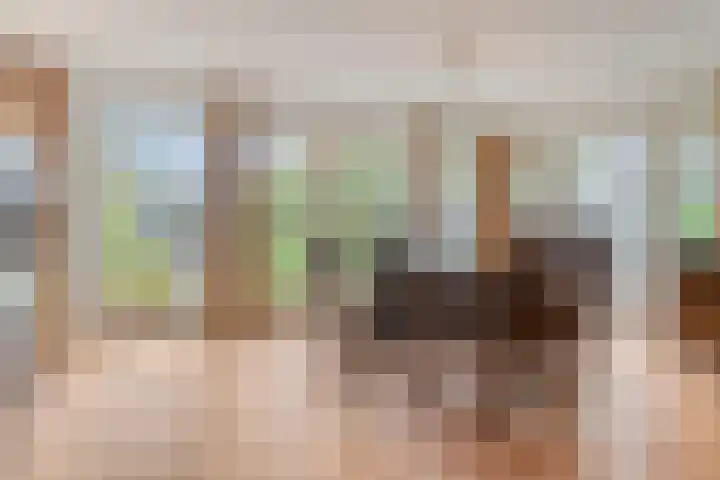 De Houtert 3 Lage Mierde thumbnail 11