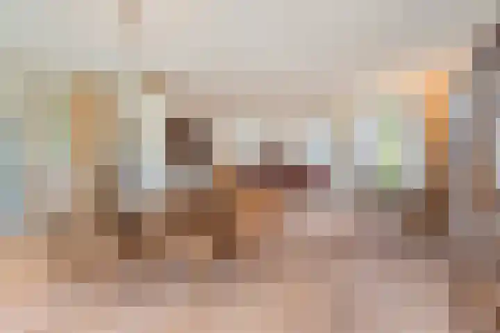 De Houtert 3 Lage Mierde thumbnail 12