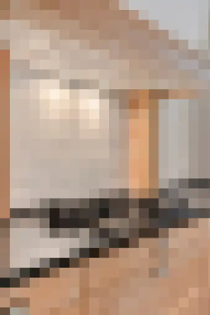 De Houtert 3 Lage Mierde thumbnail 15
