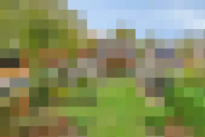 De Houtert 3 Lage Mierde foto 2