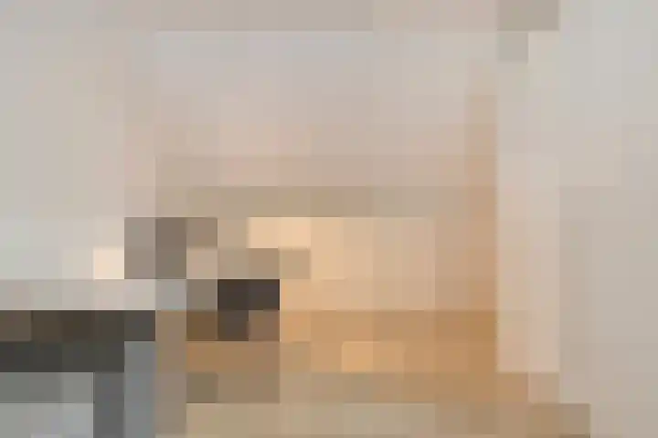 De Houtert 3 Lage Mierde thumbnail 27