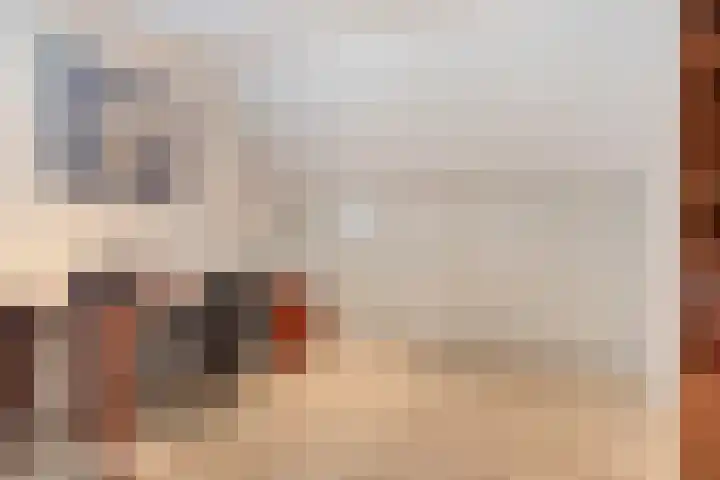 De Houtert 3 Lage Mierde thumbnail 29
