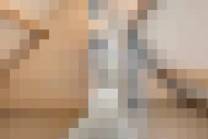 De Houtert 3 Lage Mierde thumbnail 35