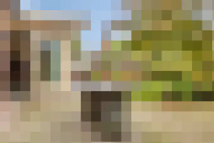 De Houtert 3 Lage Mierde thumbnail 39