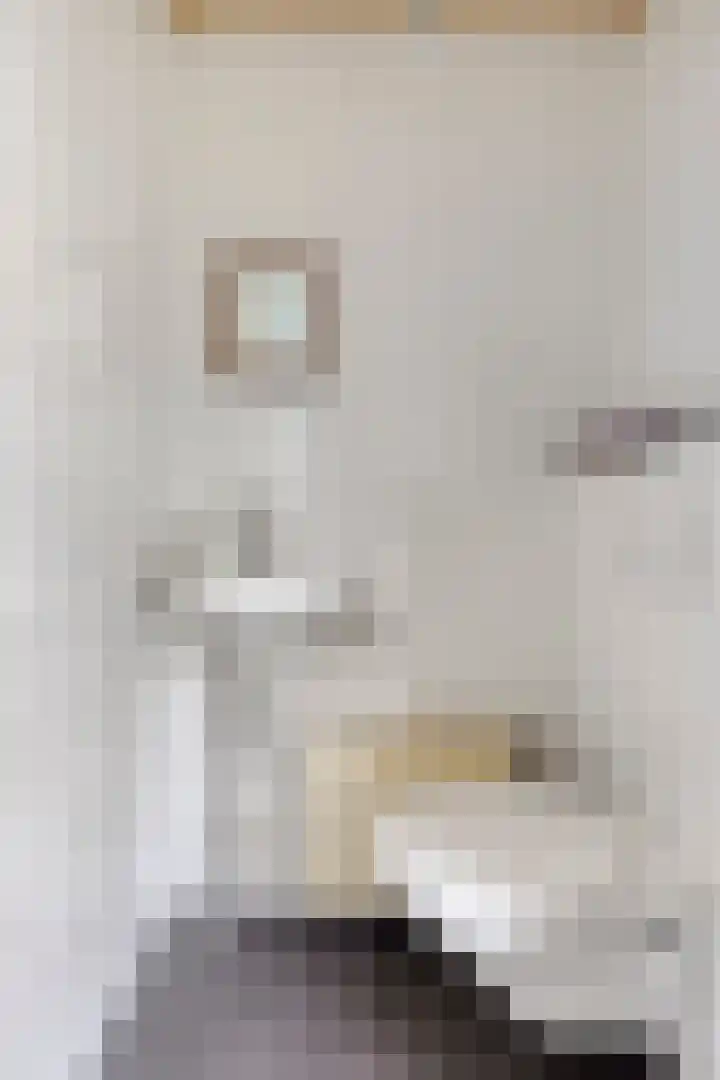 De Houtert 3 Lage Mierde thumbnail 41
