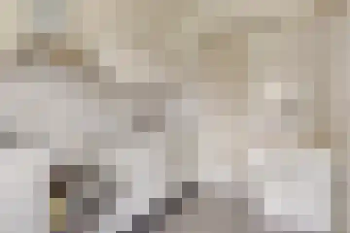 De Houtert 3 Lage Mierde thumbnail 43