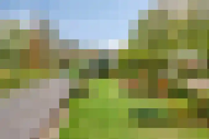De Houtert 3 Lage Mierde thumbnail 44