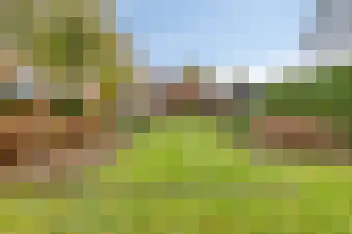 De Houtert 3 Lage Mierde thumbnail 49