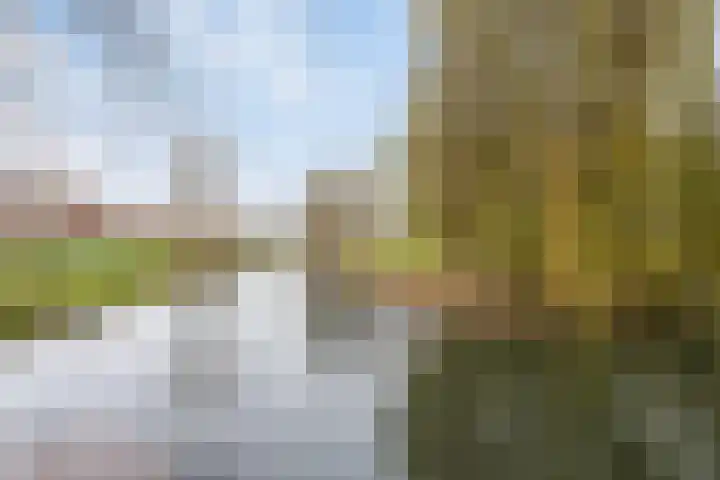 De Houtmanstraat 68 Arnhem thumbnail 45