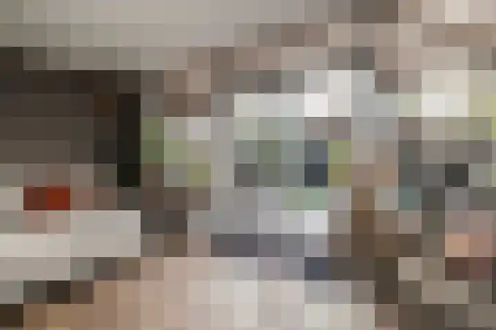 De Houtsnip 7 Dronten thumbnail 12