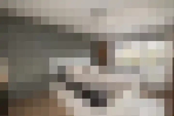 De Houtsnip 7 Dronten thumbnail 13