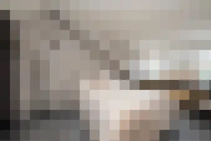 De Houtsnip 7 Dronten thumbnail 17