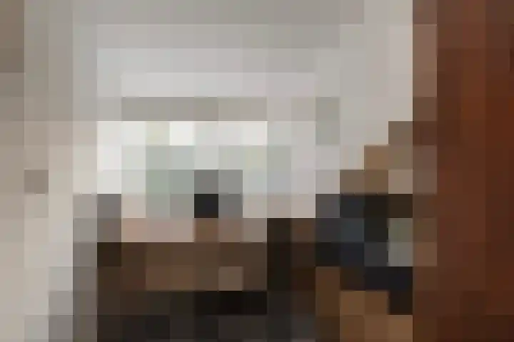 De Houtsnip 7 Dronten thumbnail 19