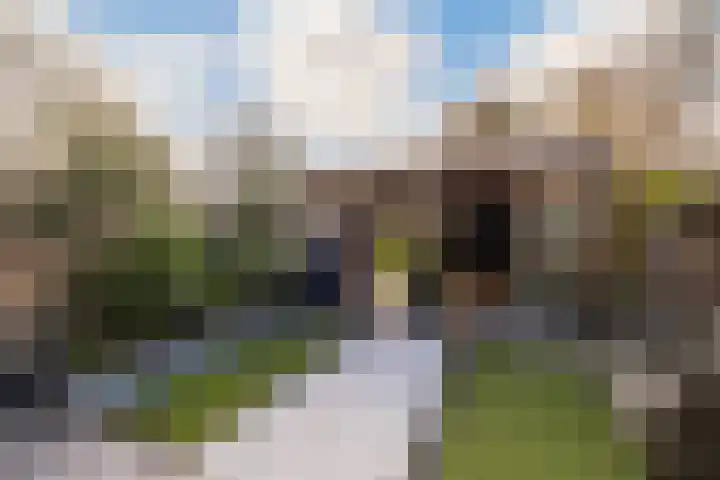De Houtsnip 7 Dronten thumbnail 22