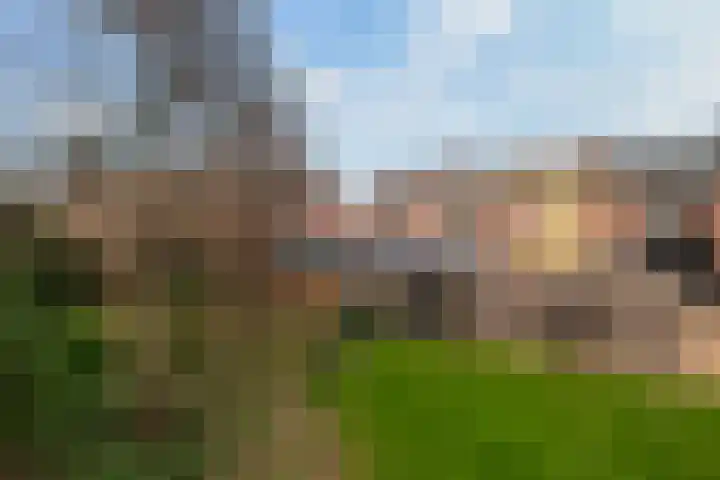 De Houtsnip 7 Dronten thumbnail 26