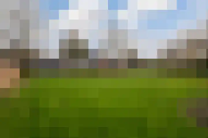 De Houtsnip 7 Dronten thumbnail 27