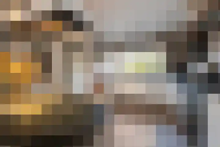 De Houtsnip 7 Dronten thumbnail 8