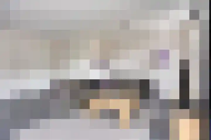 de Houtwerf 16 Westendorp thumbnail 10