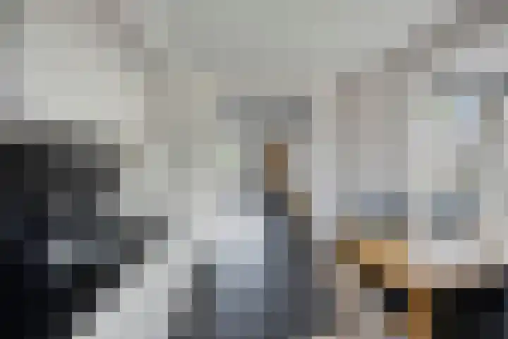 de Houtwerf 16 Westendorp thumbnail 17
