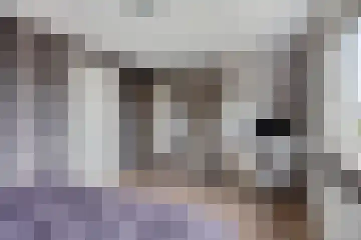 de Houtwerf 16 Westendorp thumbnail 20