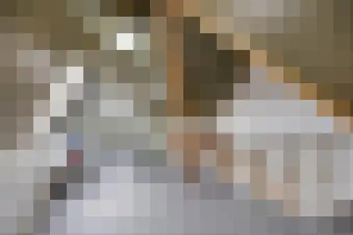 de Houtwerf 16 Westendorp thumbnail 25