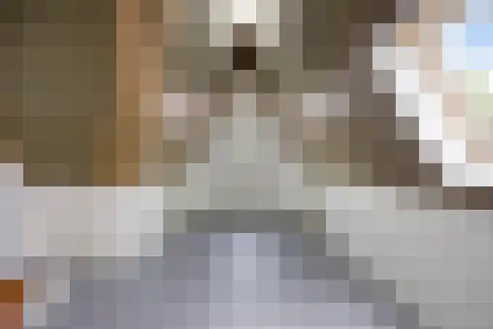 de Houtwerf 16 Westendorp thumbnail 26