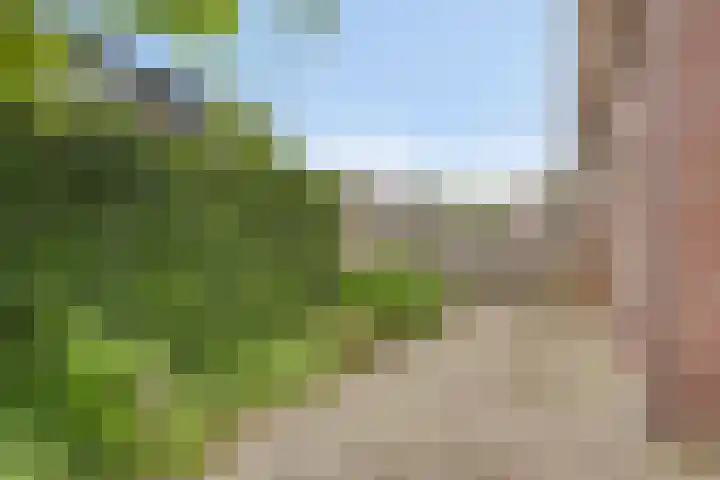 de Houtwerf 16 Westendorp thumbnail 30
